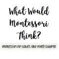 What would Montessori think? 